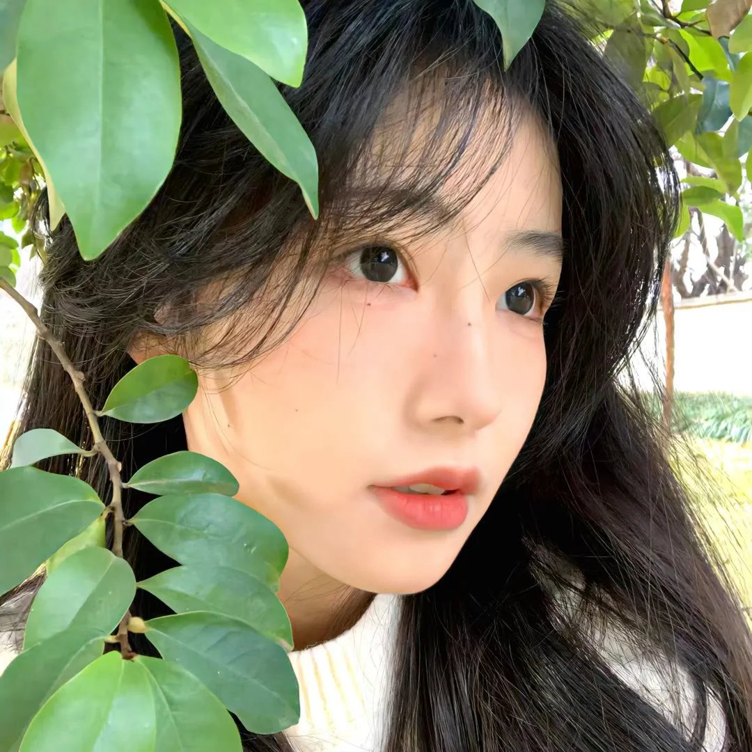 红楼梦第二部:黛玉葬花